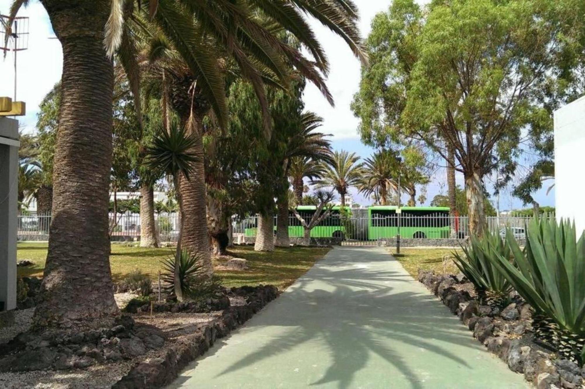 Papagayo Beach Apartments Arona  Exterior photo