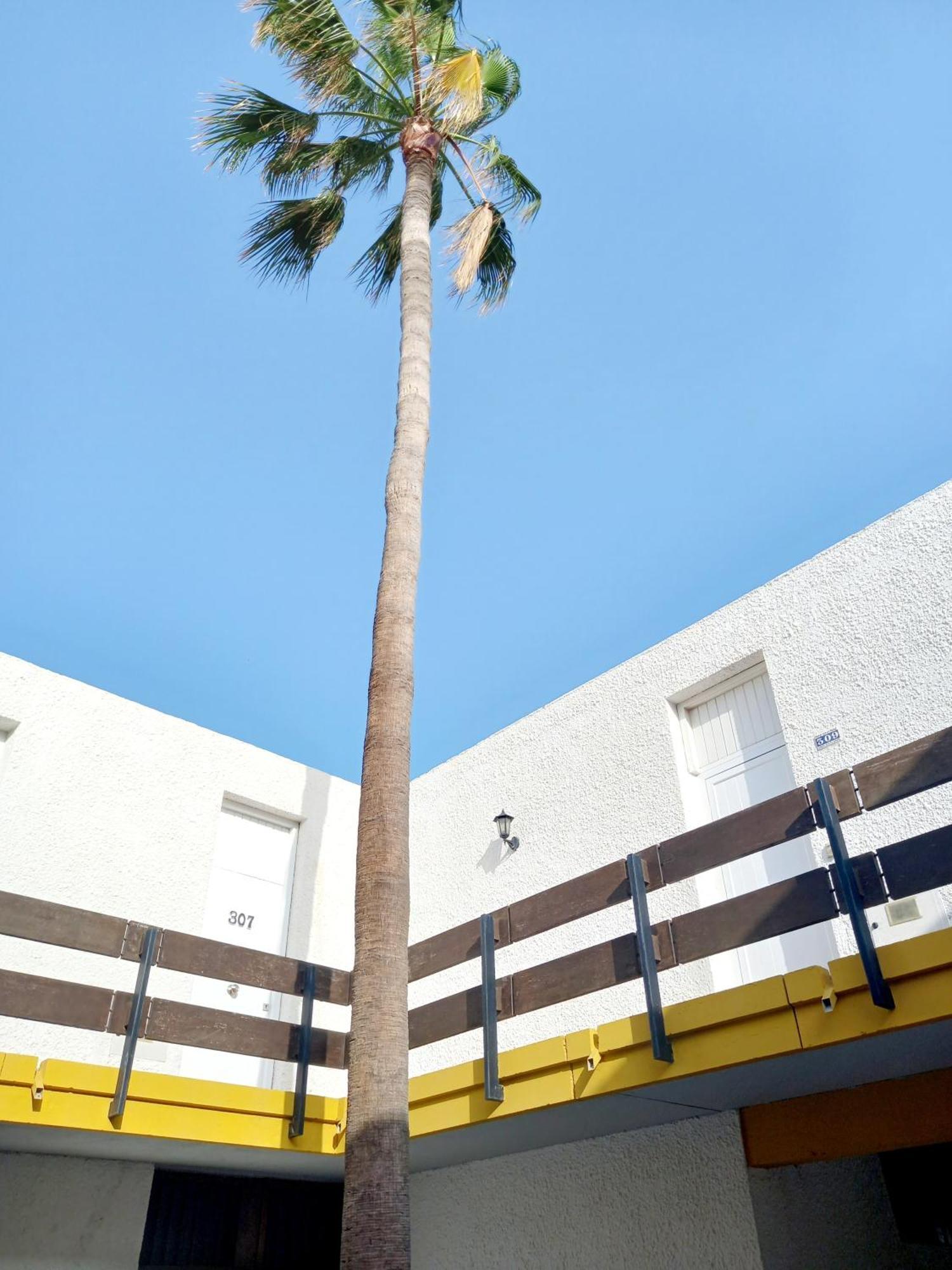 Papagayo Beach Apartments Arona  Exterior photo